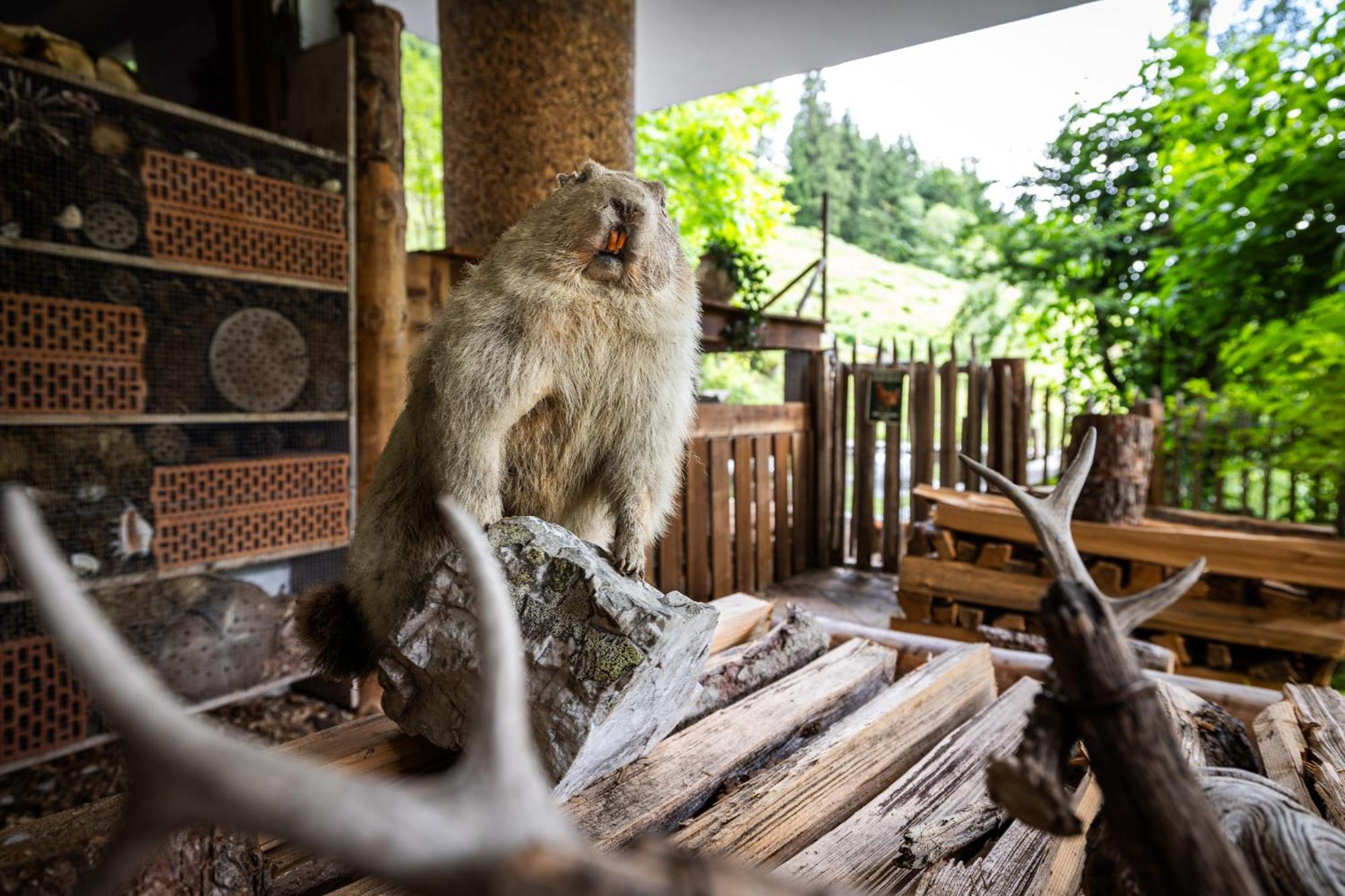 Der Lammhof - Appartements Kaswurm วาไกรน์ ภายนอก รูปภาพ