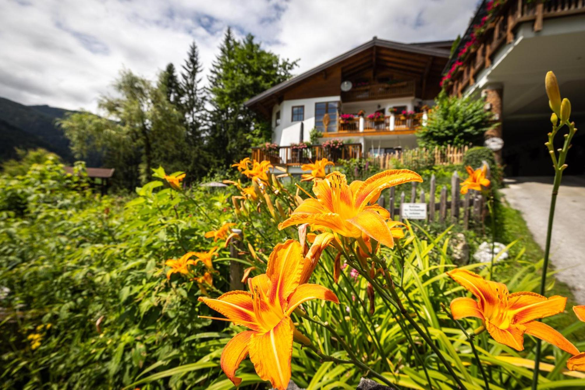 Der Lammhof - Appartements Kaswurm วาไกรน์ ภายนอก รูปภาพ